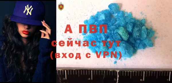 PSILOCYBIN Гусев