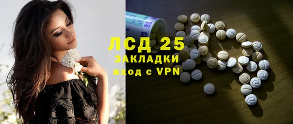 ПСИЛОЦИБИНОВЫЕ ГРИБЫ Горняк