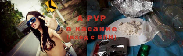 ПСИЛОЦИБИНОВЫЕ ГРИБЫ Горняк