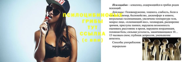 эйфоретик Гусь-Хрустальный