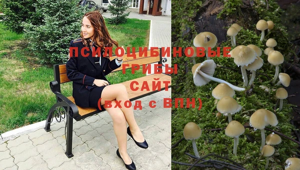 PSILOCYBIN Гусев