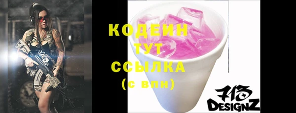 эйфоретик Гусь-Хрустальный