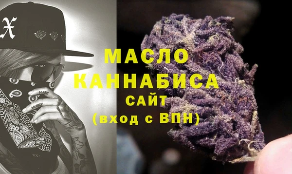 эйфоретик Гусь-Хрустальный